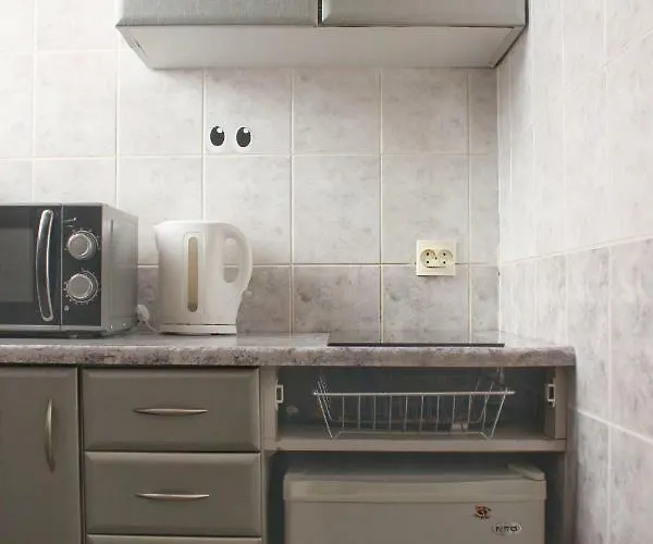 דירה в центрі подобово біля палаці мистецтв вулиця коперніка 10 לבוב