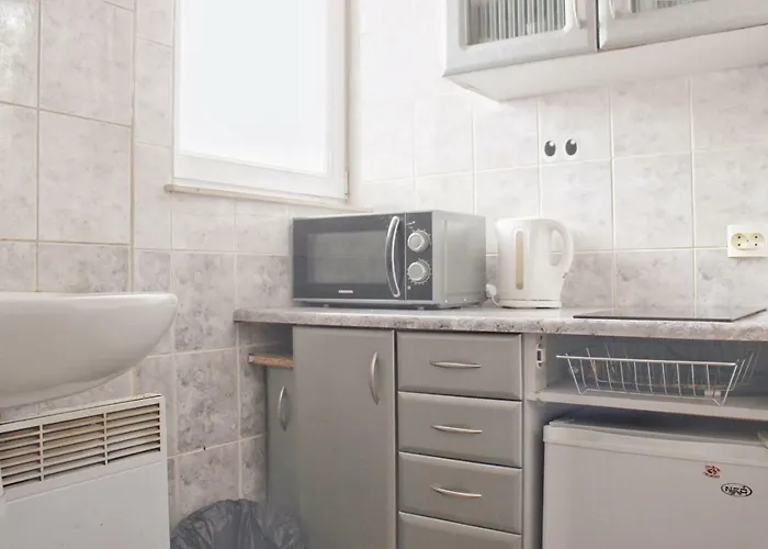 в центрі подобово біля палаці мистецтв вулиця коперніка 10 * לבוב