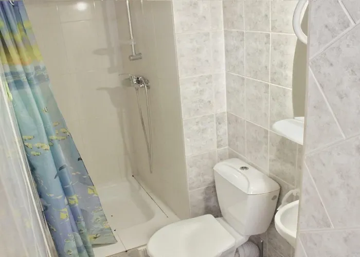 в центрі подобово біля палаці мистецтв вулиця коперніка 10 アパート