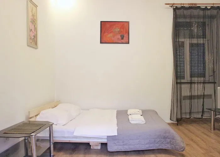 в центрі подобово біля палаці мистецтв вулиця коперніка 10